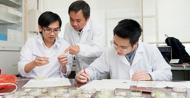 Assoc. Prof. Tran Dang Xuan (centre) and his associates at Japan’s Hiroshima University (Photo: baoquocte.vn)