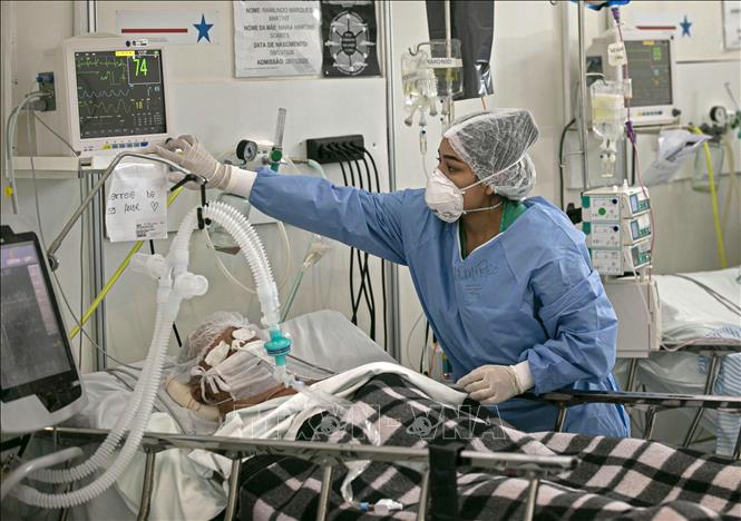 Nhân viên y tế điều trị cho bệnh nhân nhiễm COVID-19 tại bệnh viện ở Belem, bang Para, Brazil. Ảnh: AFP/TTXVN