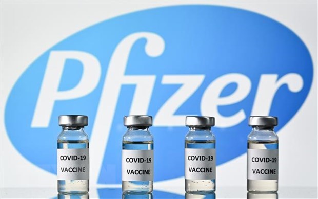 Conditional registration for the Covid-19 vaccine produced by Pfizer company has been approved for use in Malaysia. (Photo: VNA)