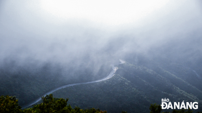 Winding roads dimly looming in the thin veil of morning