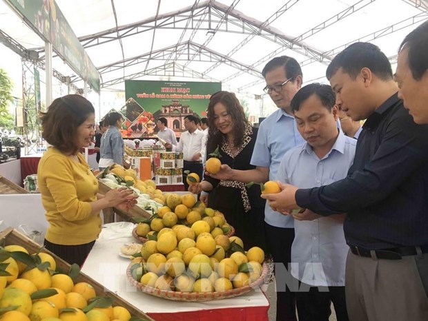 Farm produce is one of the commodity groups enjoying robust growth via e-commerce platforms (Photo: VNA)