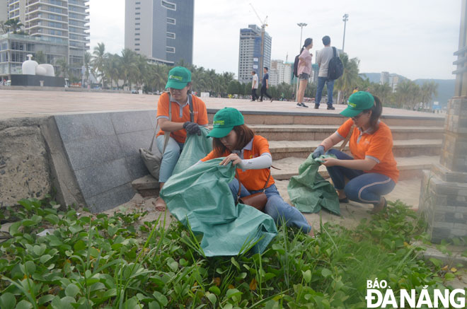 Development associated with environmental protection is an emerging trend of the tourism industry. The Asia Magics Travel Joint Stock Company staffers are seen joining cleanups on Pham Van Dong Beach, Son Tra District.