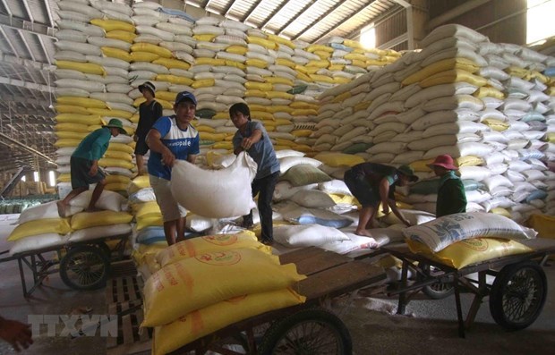 Viet Nam will export 1,600 tonnes of rice at high price to Singapore, Malaysia  - Illustrative image (Photo: VNA)