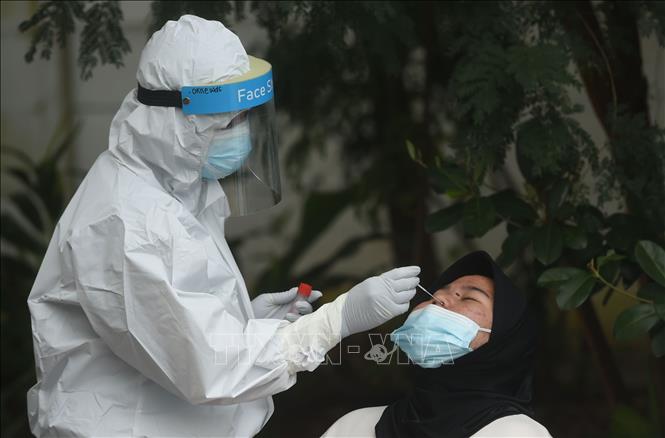 Nhân viên y tế lấy mẫu xét nghiệm COVID-19 tại Jakarta, Indonesia ngày 7/1. Ảnh: THX/TTXVN