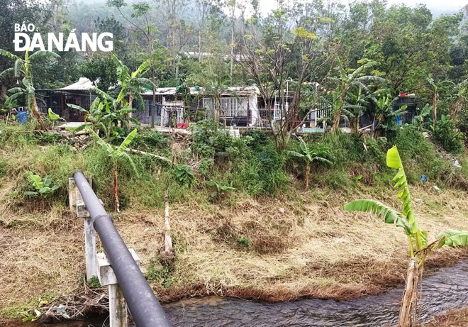 Dọc tuyến đường nhánh suối Đá (cạnh Trạm cấp nước sạch Thọ Quang) hiện có hàng chục ngôi nhà cấp 4 được người dân xây dựng trái phép trên đất rừng. 			Ảnh: ĐẮC MẠNH