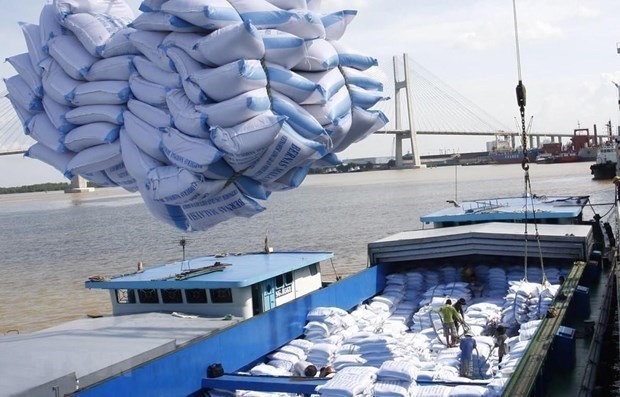 The first batch of jasmin rice is shipped to the UK under the UKVFTA. (Photo: VNA)