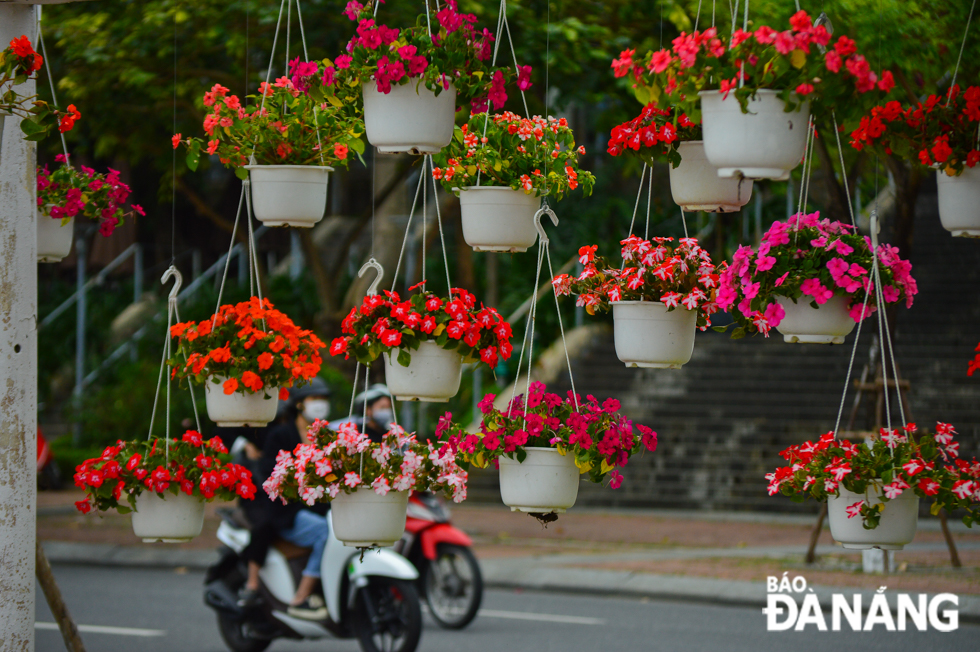 Flowers in full blossom on the street signal the fact that a new spring is drawing near.