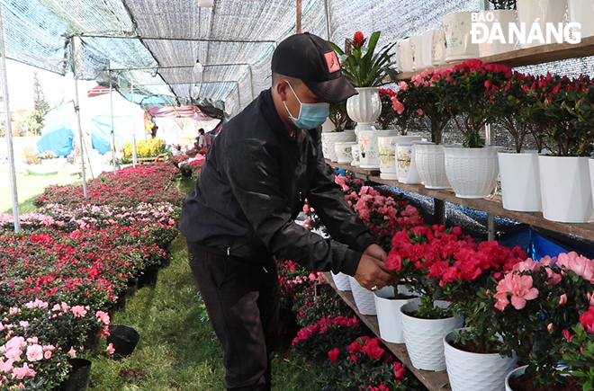 Tại điểm bán khu vực Quảng trường 29 Tháng 3, đa dạng các loại hoa, cây cảnh được bày bán. Ảnh: MAI QUẾ