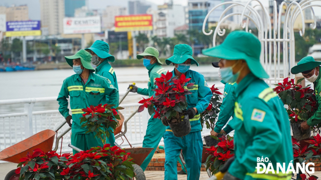 Those who are involved in the creation of highly impressive floral decorations along the Bach Dang spring flower street, along the west bank of the Han River wear masks during their work shifts. 