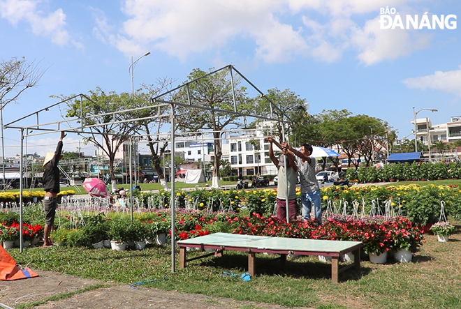 Flower traders are preparing for their Tet flower stall on 2 February morning