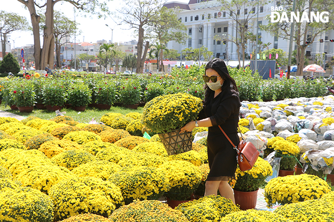 Raspberries are among the most favourite flowers during Tet