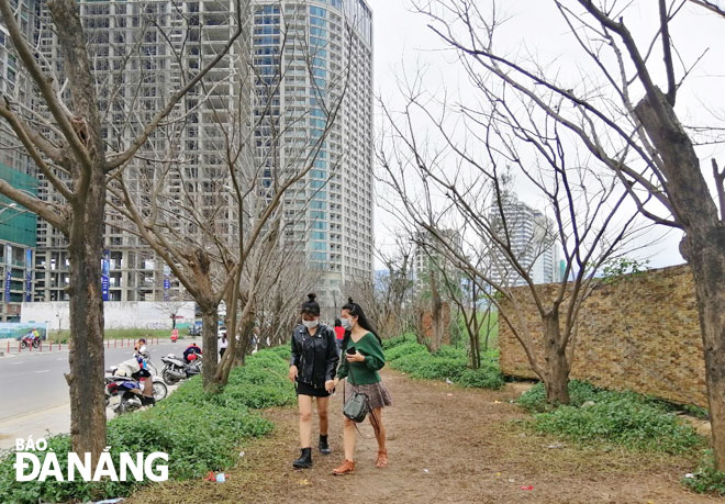 Many people, especially the young, flocking to the ‘winter street’ opposite the Four Points by Sheraton Da Nang for photo shootings