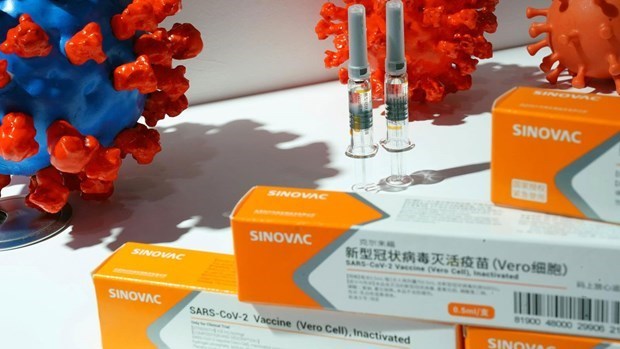 Sinovac vaccine (Photo: CGTN)