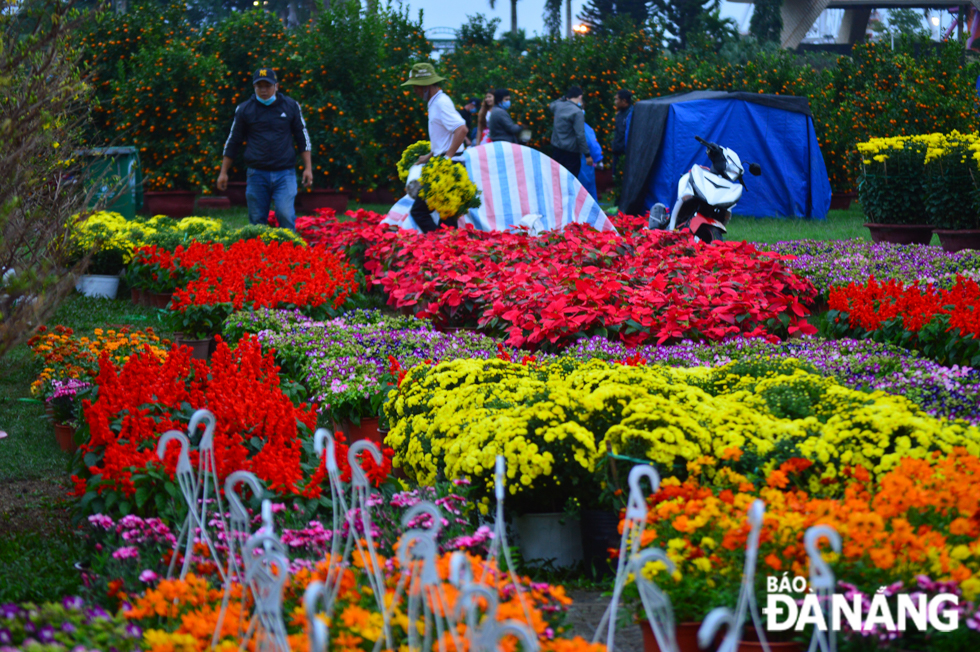 … crystal daisies, chrysanthemums, poinsettias, sunflowers, dahlias, apricot blossoms and roses.