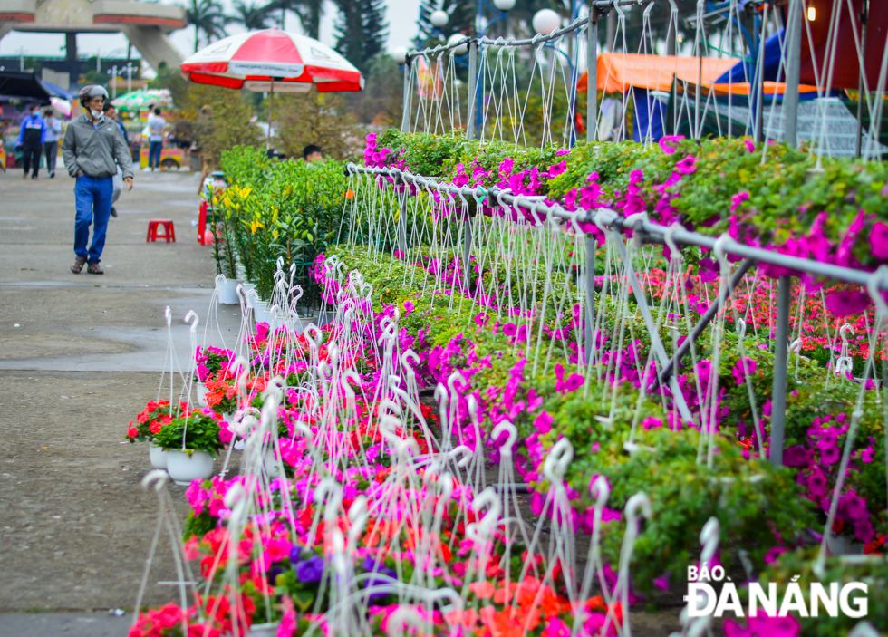 Beautiful hanging flower baskets are on sale at the large-scale Tet flower market at 29 March Square.