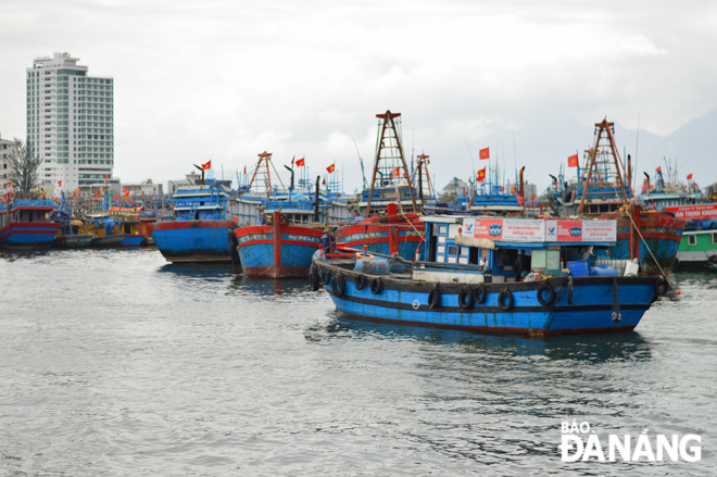 Tàu cá liên tục cập bến âu thuyền và cảng cá Thọ Quang những ngày giáp Tết Tân Sửu 2021. Ảnh: XUÂN SƠN