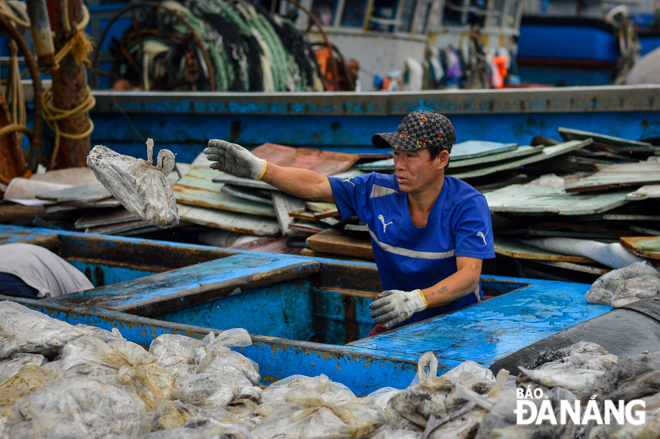 Fish are classified before they are brought ashore for consumption.