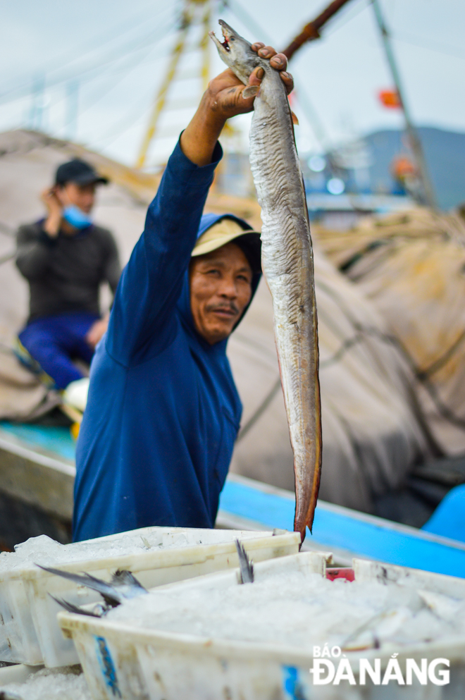 A fisherman showing off his bumper catches after a year-end sea trip.