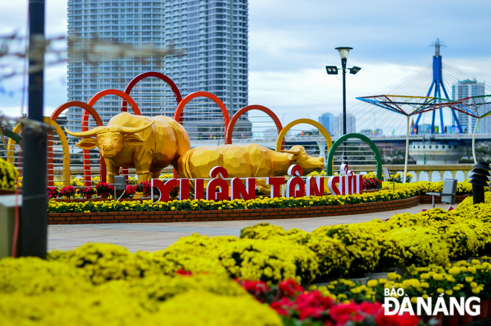 A combined total of over 10 billion VND in funding from Da Nang government and private businesses was used on floral displays at 15 locations along both banks of the Han River, and some major local streets, in a bid to create joyful and boisterous atmosphere during the Tet Festival which will begin on 12 February.