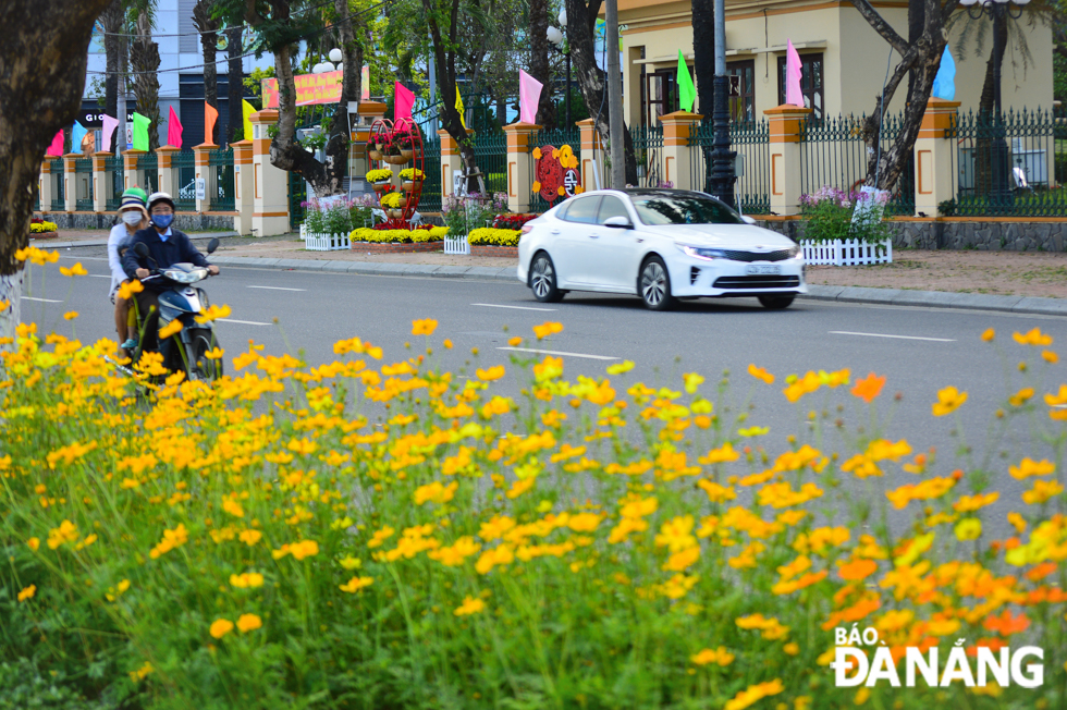 In these days leading up to the Tet Festival, Da Nang is giving a ‘new coat’ with eye-catching spring flower decorations, thereby making it more beautiful and inviting to both locals and visitors.