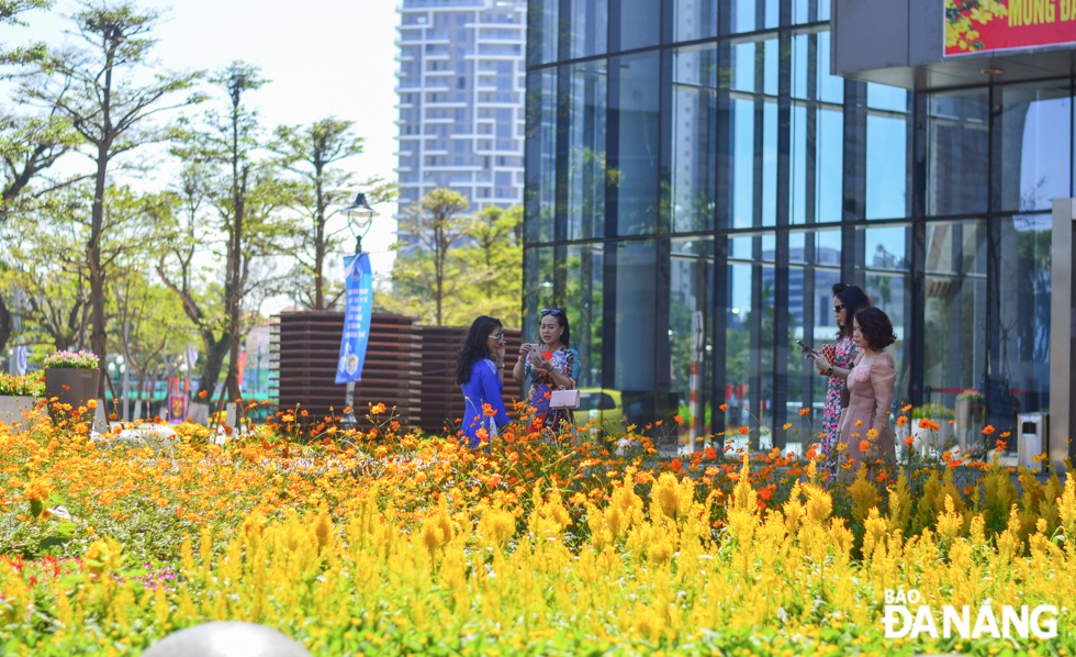  People visiting a flower garden in front of the Da Nang Administration Centre