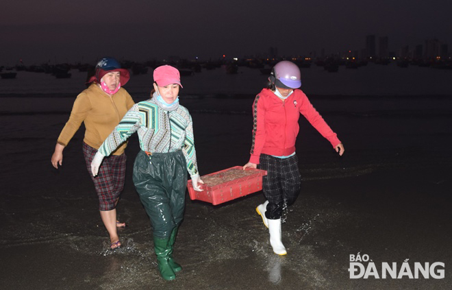 Traders rushing to carry freshly-caught tiny shrimp to the shore