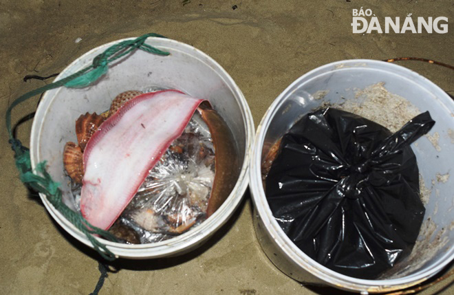 Bumper hauls of fish, shrimp and squid