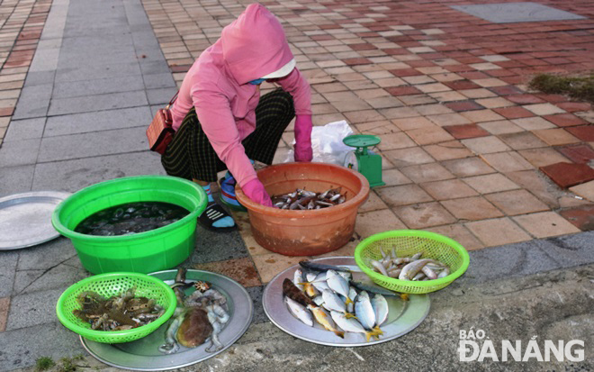 Inshore fishermen eager with first bumper catches of Lunar New Year 2021