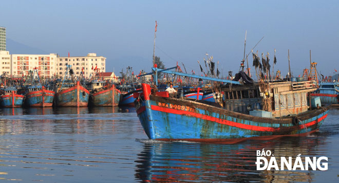 Từ ngày mồng 4 tháng Giêng, một số tàu cá khai thác xa bờ đã di chuyển khỏi âu thuyền Thọ Quang để ra khơi đánh bắt hải sản. 										       Ảnh: HOÀNG HIỆP	