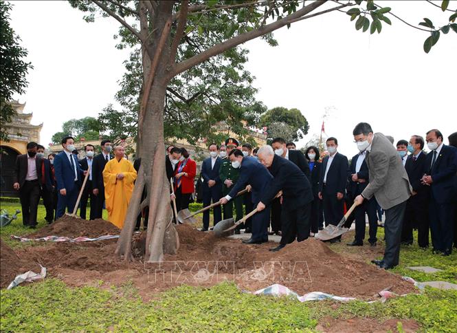 Tổng Bí thư, Chủ tịch nước Nguyễn Phú Trọng trồng cây lưu niệm tại Khu Di tích Hoàng Thành Thăng Long. Ảnh: Phương Hoa/TTXVN
