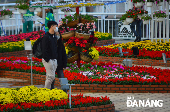 A lot of Da Nang residents and tourists visiting the Bach Dang spring flower street in nice weather during Tet