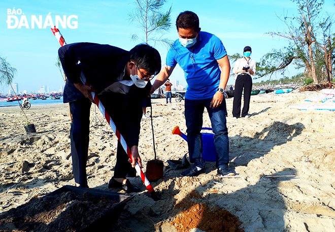 Lãnh đạo quận Sơn Trà tham gia trồng cây xanh dọc bãi biển ven tuyến đường Hoàng Sa. Ảnh: T.S