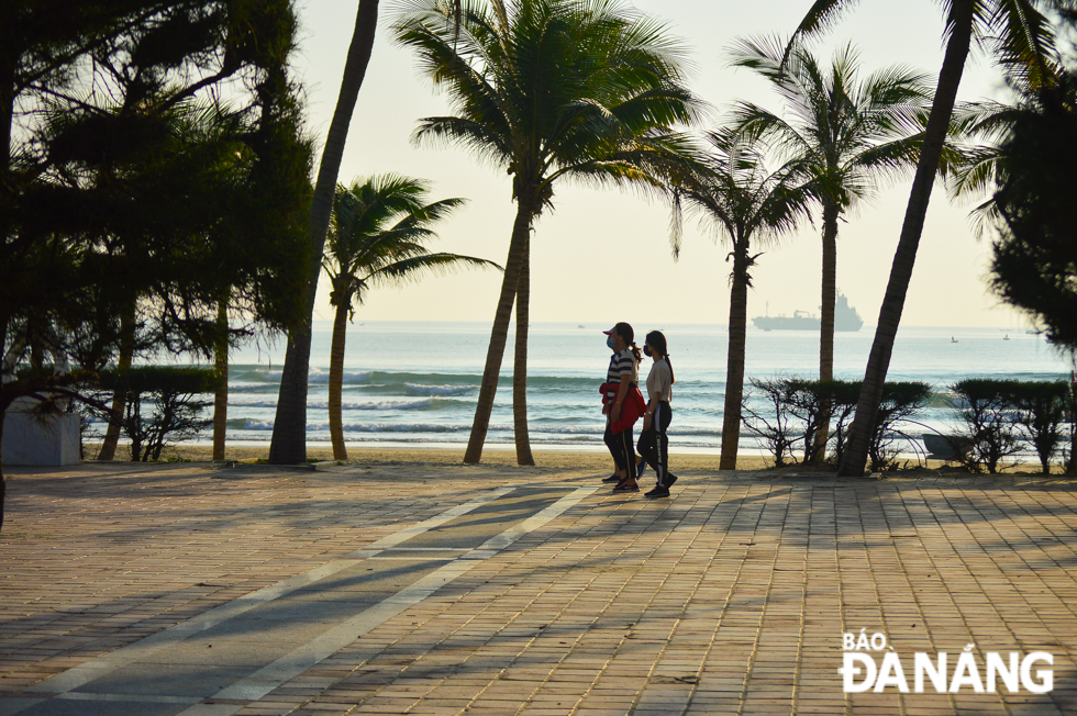 A peaceful morning view is captured on a beach.