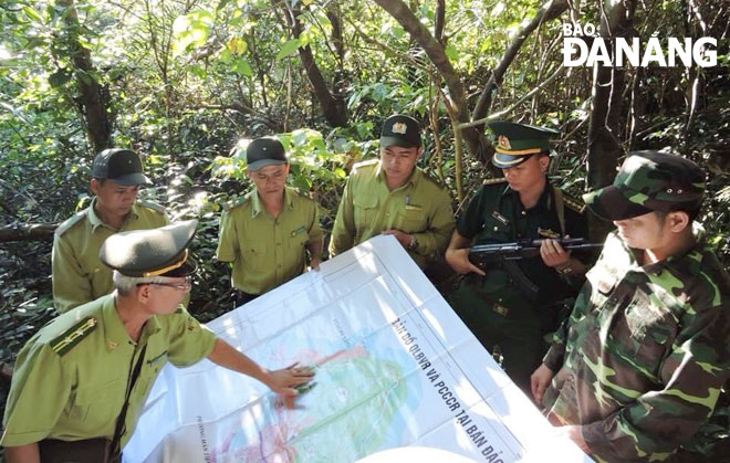 Cán bộ Hạt Kiểm lâm Sơn Trà - Ngũ Hành Sơn phối hợp các lực lượng tuần tra tại bán đảo Sơn Trà (Ảnh chụp đầu tháng 1-2021). Ảnh: VĂN HOÀNG.