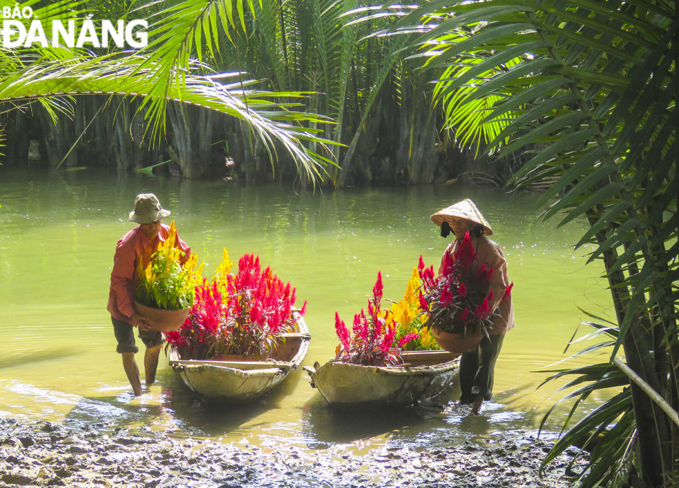 A spring corner of the Tinh Khe nipa palm forest.