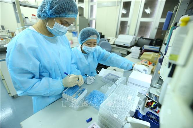 Việt Nam là 1 trong 4 quốc gia đầu tiên phân lập thành công virus corona chủng mới (SARS-CoV-2). Ảnh: TTXVN