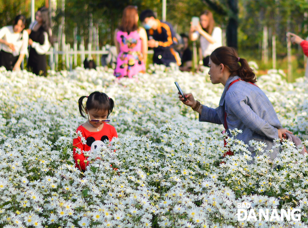 The Biotechnology Centre plans to transfer technology of daisy cultivation to local farmers in a bid to expand such a flower growing model in the city.