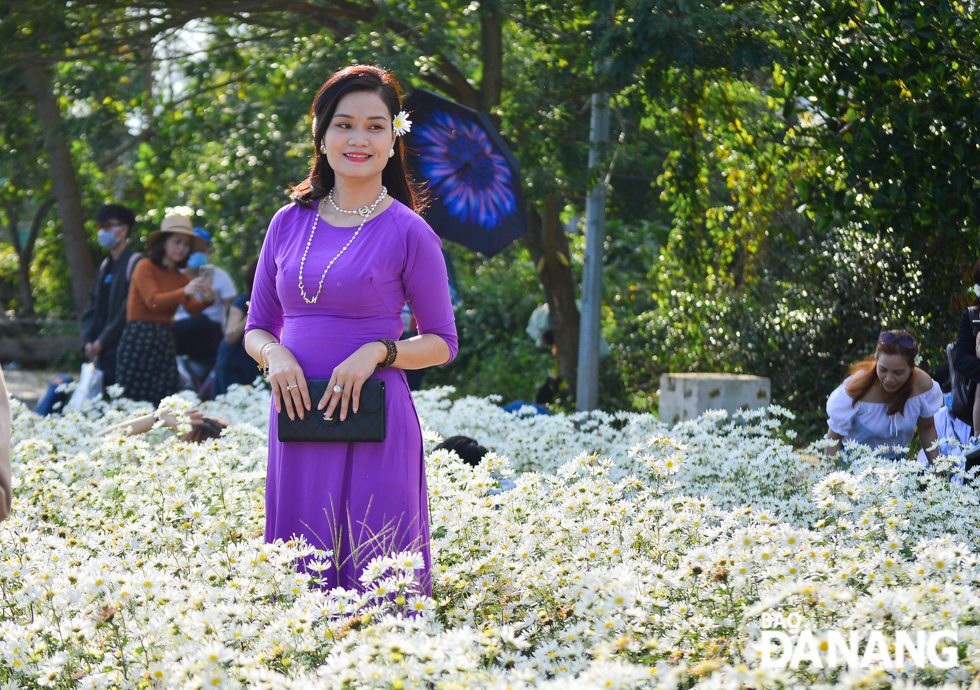 Deputy Director of the Biotechnology Centre Dang Ngoc Minh remarked his centre has successfully planted daisies in the early spring season from tissue culture with the purpose of creating a newly inviting destination for residents and visitors.