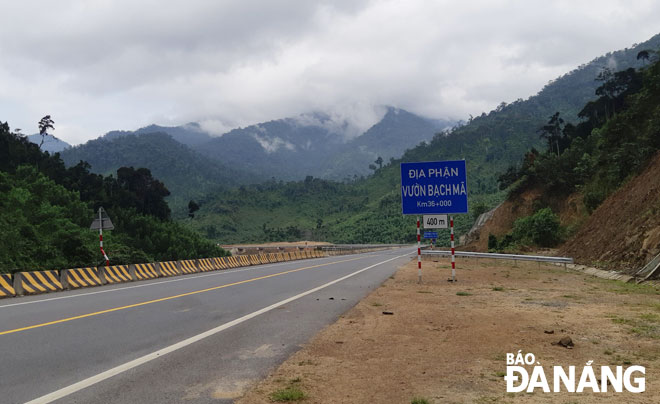 Cao tốc La Sơn - Túy Loan đoạn qua địa phận vườn quốc gia Bạch Mã, tỉnh Thừa Thiên Huế. Ảnh: THÀNH LÂN