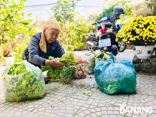 Một người mẹ ở thị xã Điện Bàn (tỉnh Quảng Nam) bó từng bó rau để gửi cho con trai mang ra Đà Nẵng. Ảnh: T.C.S