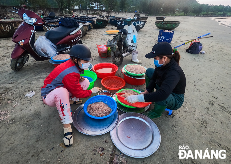  The tiny shrimp catching season usually starts from the 10th to late 3rd lunar months. However, local fishermen begin to enjoy bumper catches of tiny shrimps after Tet holidays.