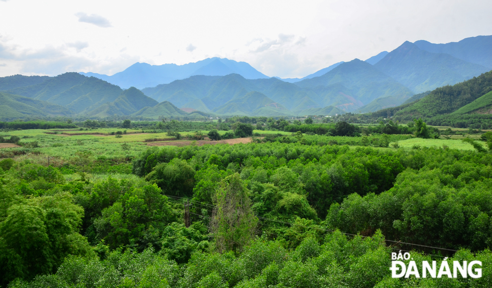  Lush greenery garden in Hoa Bac Commune, Hoa Vang District