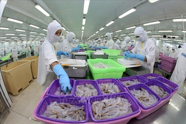 Shrimps processed for exports (Photo: VNA)