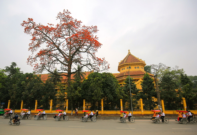 Chẳng ai có thể làm ngơ được trước vẻ đẹp rực rỡ của hoa gạo. Màu sắc đỏ rực bừng sáng cả một khoảng trời mùa hạ khiến lòng người bồi hồi mê đắm.