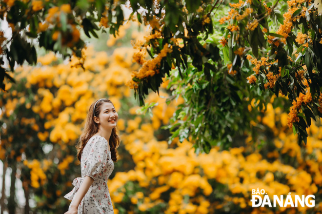 Vẻ đẹp của hoa rì rừng thu hút du khách gần xa tìm về các điểm du lich sinh thái ở Hòa Phú như Suối Hoa, Ngầm Đôi... Tại các điểm này, du khách vừa thoải mái thư giãn, tắm suối vừa có những bức ảnh đẹp với loài hoa đặc trưng này. Ảnh: TOOM SARA