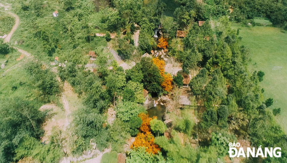 The distinctive brick red colour of ‘Ri Rung’ flowers at the Suoi Hoa (Spring Flower) eco-tourism site