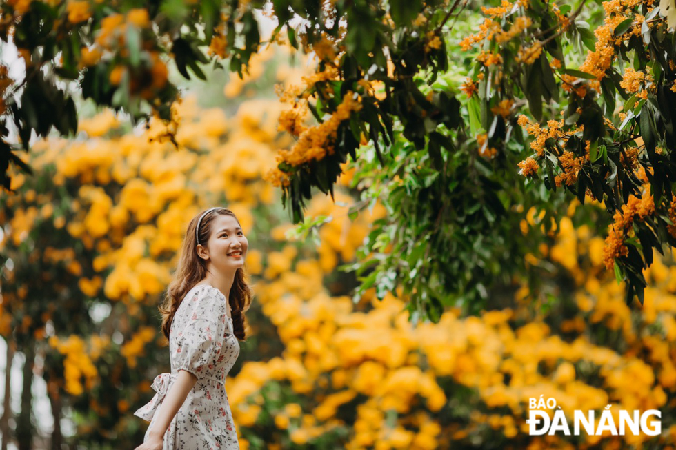 A beautiful girl posing for souvenir photos with colourful ‘Ri Rung’ flowers