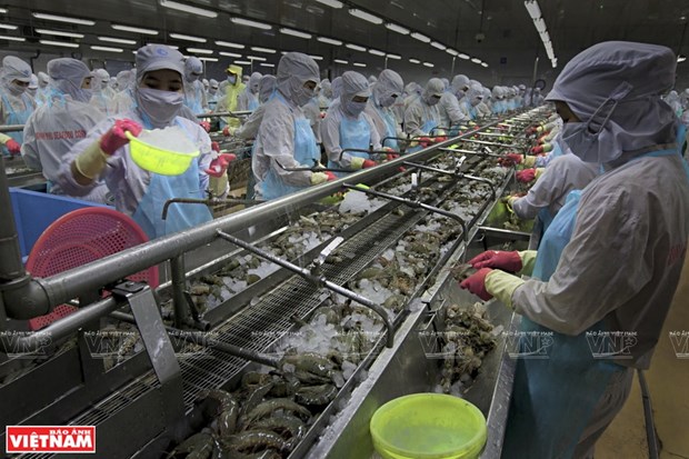 Fisheries will be branched out into an important economic sector of the nation by 2030. (Photo: VNA)