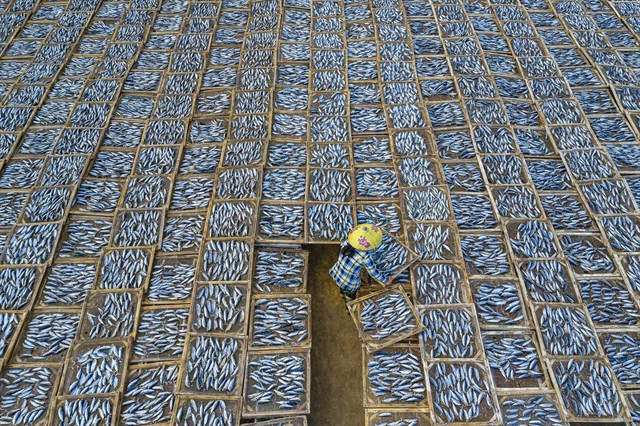 Drying Fish by Vietnamese photographer Khánh Phan won the travel category of the internationally acclaimed Sony World Photography Awards. Photo by Khanh Phan via Sony World Photography Awards