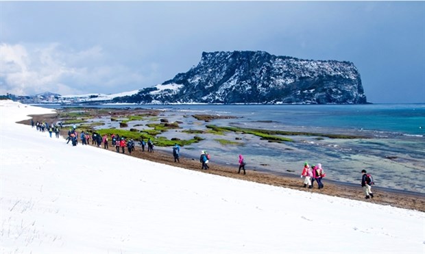 The 'Run to Jeju – Jeju Spring Virtual Run 2021' will take place on April 1-25 on the 84RACE platform. Photo courtesy of KTO